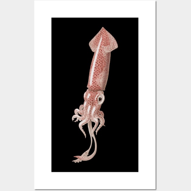 Boreal Squid Wall Art by JadaFitch